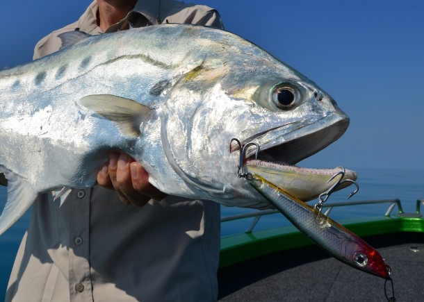 Time for a celebratory C-Gar!